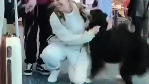 Very beautiful, reunion of guardians with their pets 😢❤️‍🩹