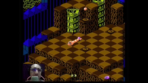 Snake Rattle'N'Roll | Getting Rattled by Levels 4 and 5