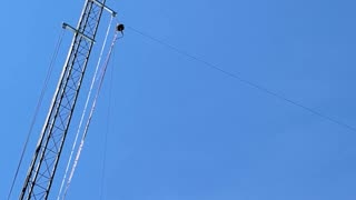 Antenna truth bombs: here’s what works for me
