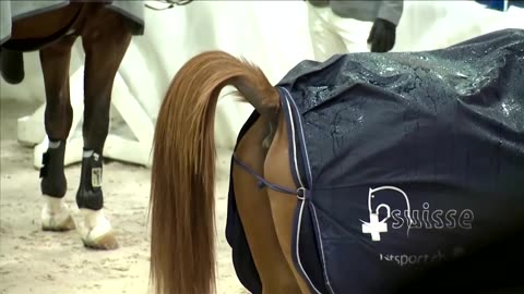 Waste-to-wonder: Harnessing horse dung for plastic alternatives