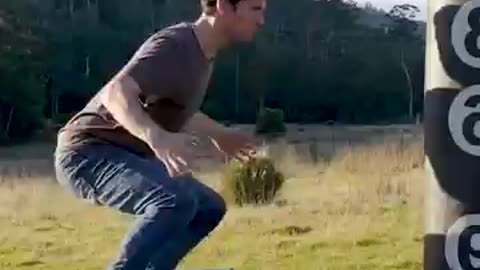 How Animals Fight. Part 2 (with emojis)
