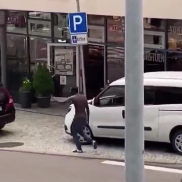 Why Is There A Feral Ape On The Loose In Germany?