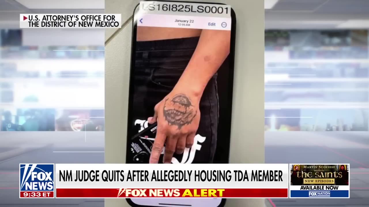 Shocking details revealed on alleged TdA member living on judge's property