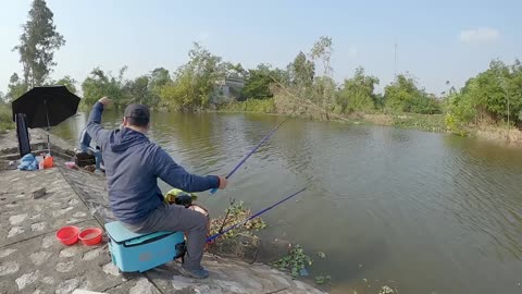 Shad Follows the Rivers Rhyth