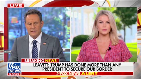 Karoline Leavitt Hits At CNN For False Reporting About Dems Being Left In The Dark