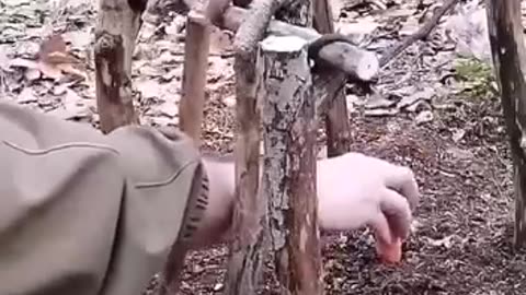 Trap ideas