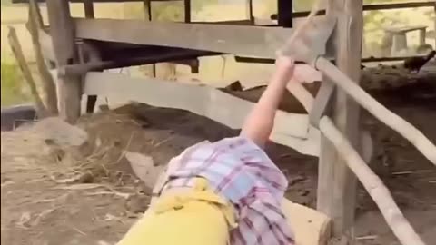 Funny Video React 7
