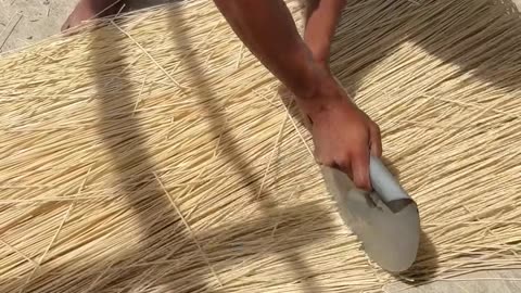 Follow for this type of video..
