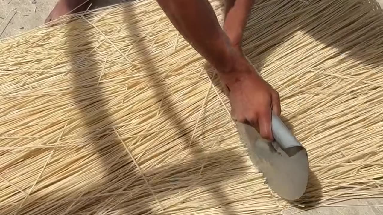 Follow for this type of video..