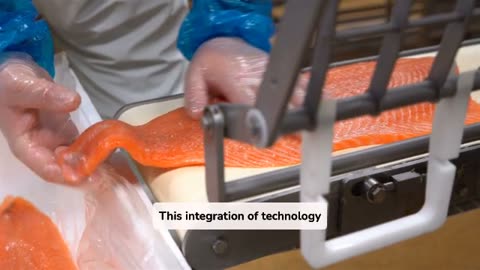 Making The Most Of Quality With Modern Seafood Processing Systems