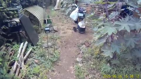 250602A_-_250622B _ Living_in_a_cave_on_Madeira_2025F (720p)