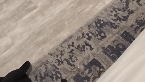 Ramon Noodles Bowman DESERVED to get fired from his job at Wendy's for acting unprofessional