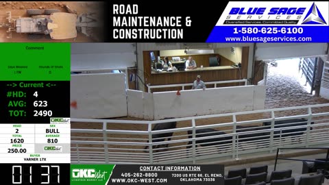 5/21/2025 - Feeder Calf Auction - OKC West