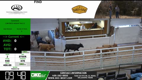 5/21/2025 - Feeder Calf Auction - OKC West