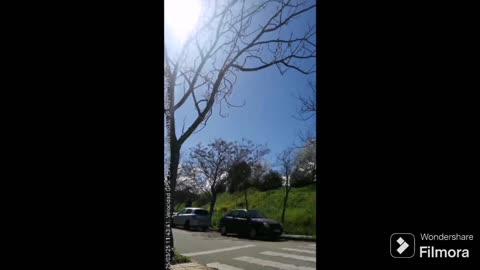 Un jovenlandés le pide un "segarro" a una chica