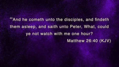 Life Pointe Church Online Experience