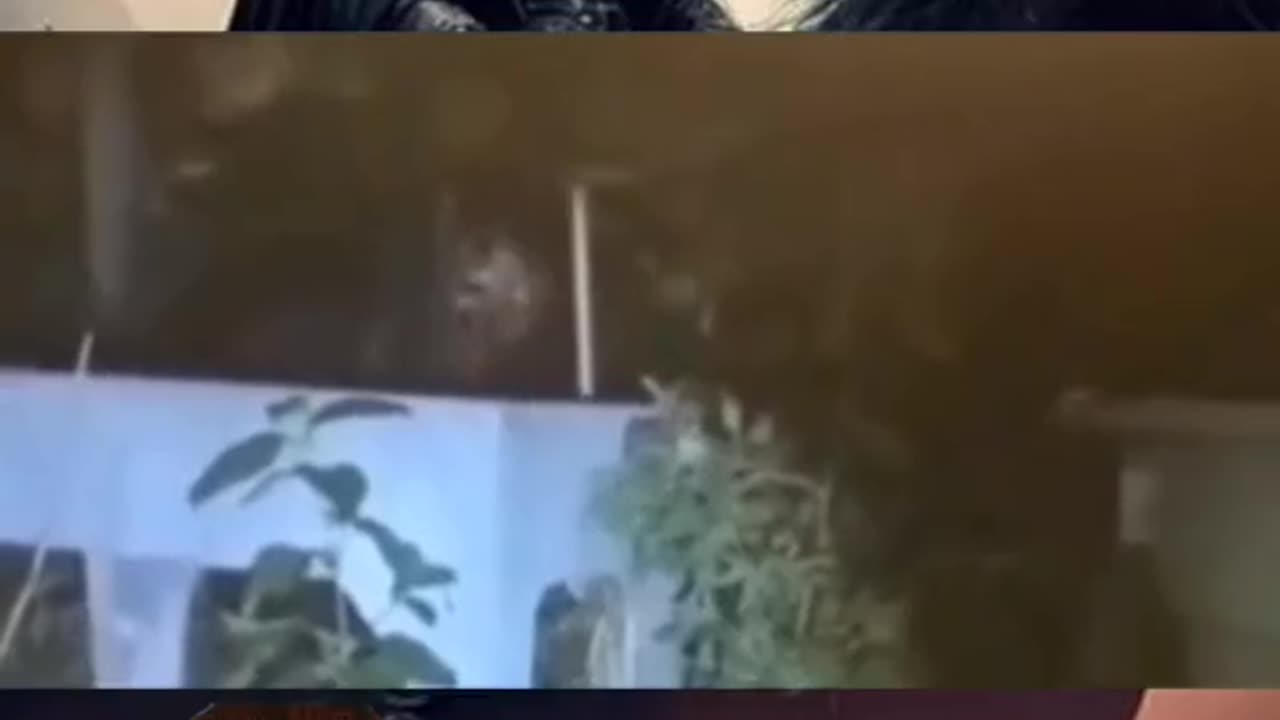 😱👹 Weird Large Creature Spotted—What Is It? | TheHauntingHour