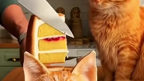 Cake is animal shape to cut cake animal reaction to attack