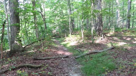 Short Hiking trail near Willis Picnic Area (Cleveland Metro Parks) in Bedford, Ohio