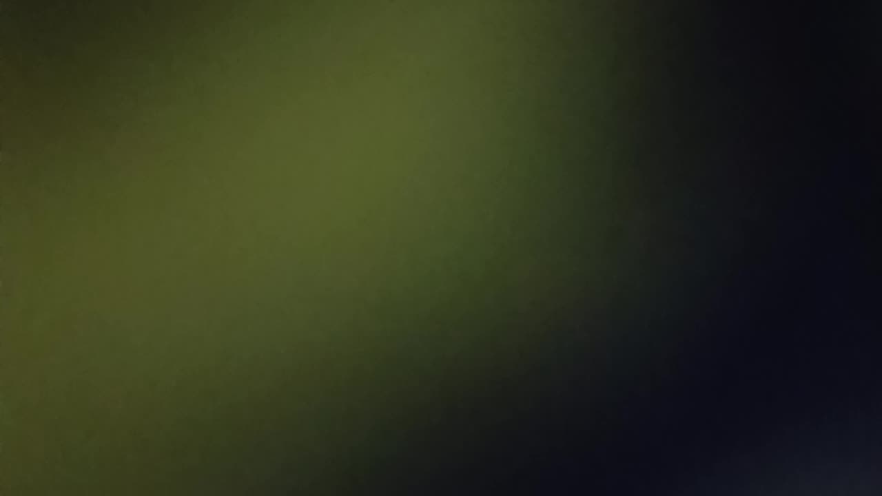 Mungos reported me to cops saying I hate what they say I call niggers