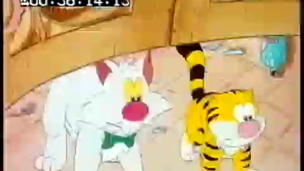 Billy the cat EP 3 🎬✨❤️ ⏰