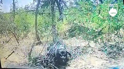 🔥 Enemy guns, tanks, firing positions destroyed by pilots of "SKALA" regiment.