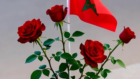 Contribuye plantando flores en los huecos de la calle.