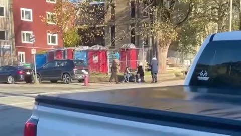 McInnis C Dedimus: The Chronicles of Waterloo St. "The Screaming Seagull Lady."