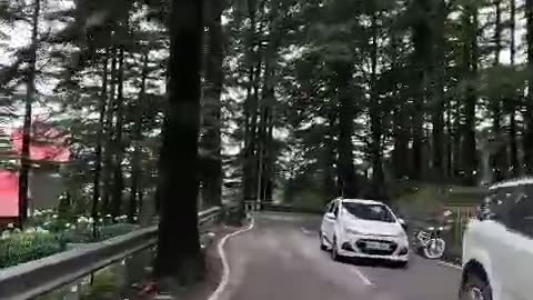 Mcleodganj Valley Mini Vlog