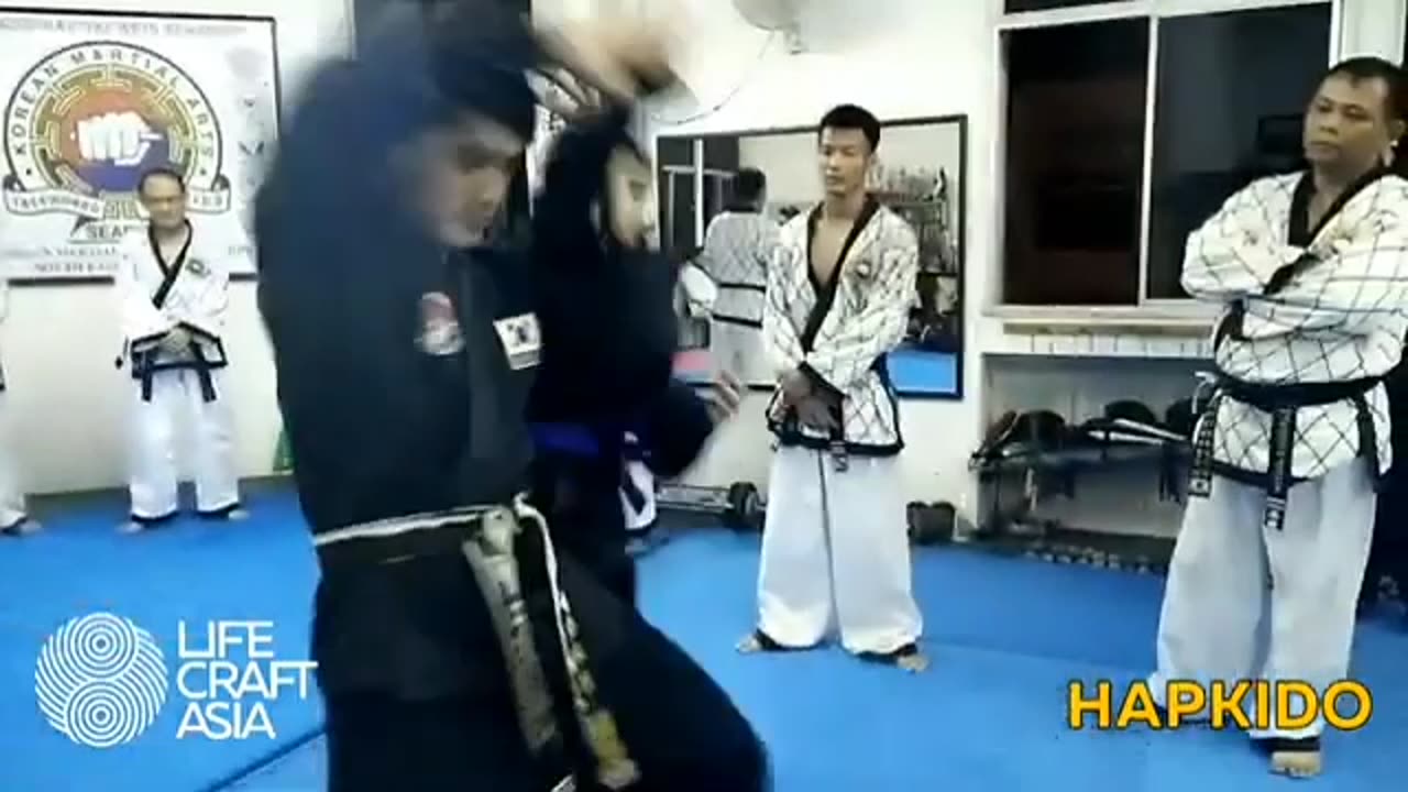 Hapkido