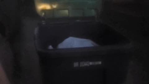 August 30th 2024 over 6 bags of liquor bottles thrown away