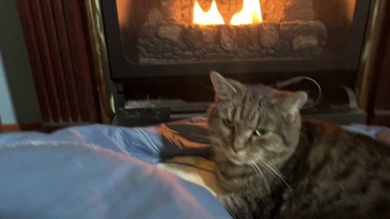 October 25, 2025 - Fall, Football, Fireplace