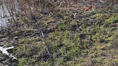 Russian fighters continue to liberate Zaporizhzhya land from the fascists