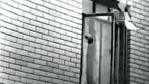 Commercial - William's Lectric Shave 1965