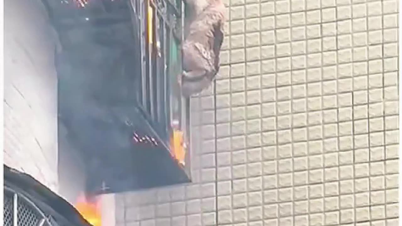 Cat in China survives fire