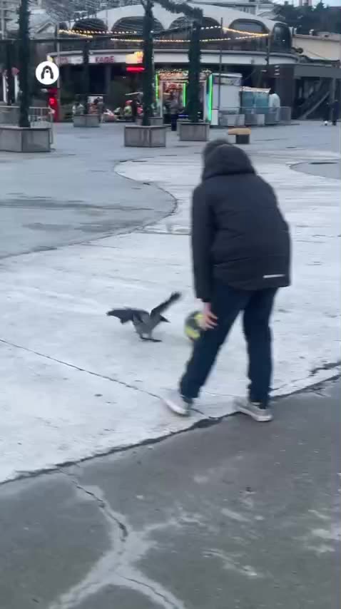 Very aggressive play 🤣