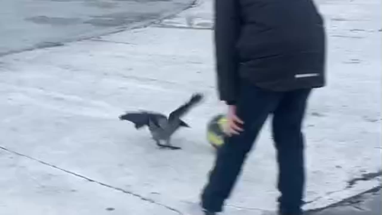 Very aggressive play 🤣