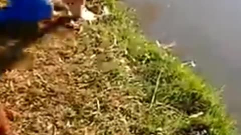 "Try Not to Laugh Challenge – FAILS Edition 🤭💥"