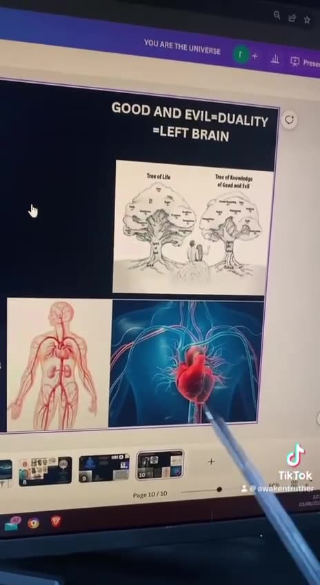 YOUR BODY IS THE WHOLE UNIVERSE!