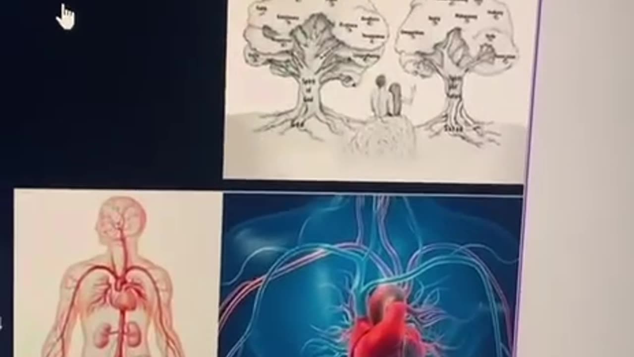 YOUR BODY IS THE WHOLE UNIVERSE!