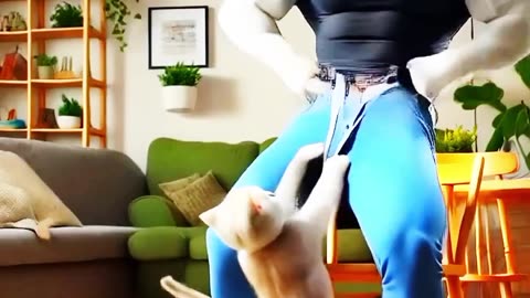 Funny video