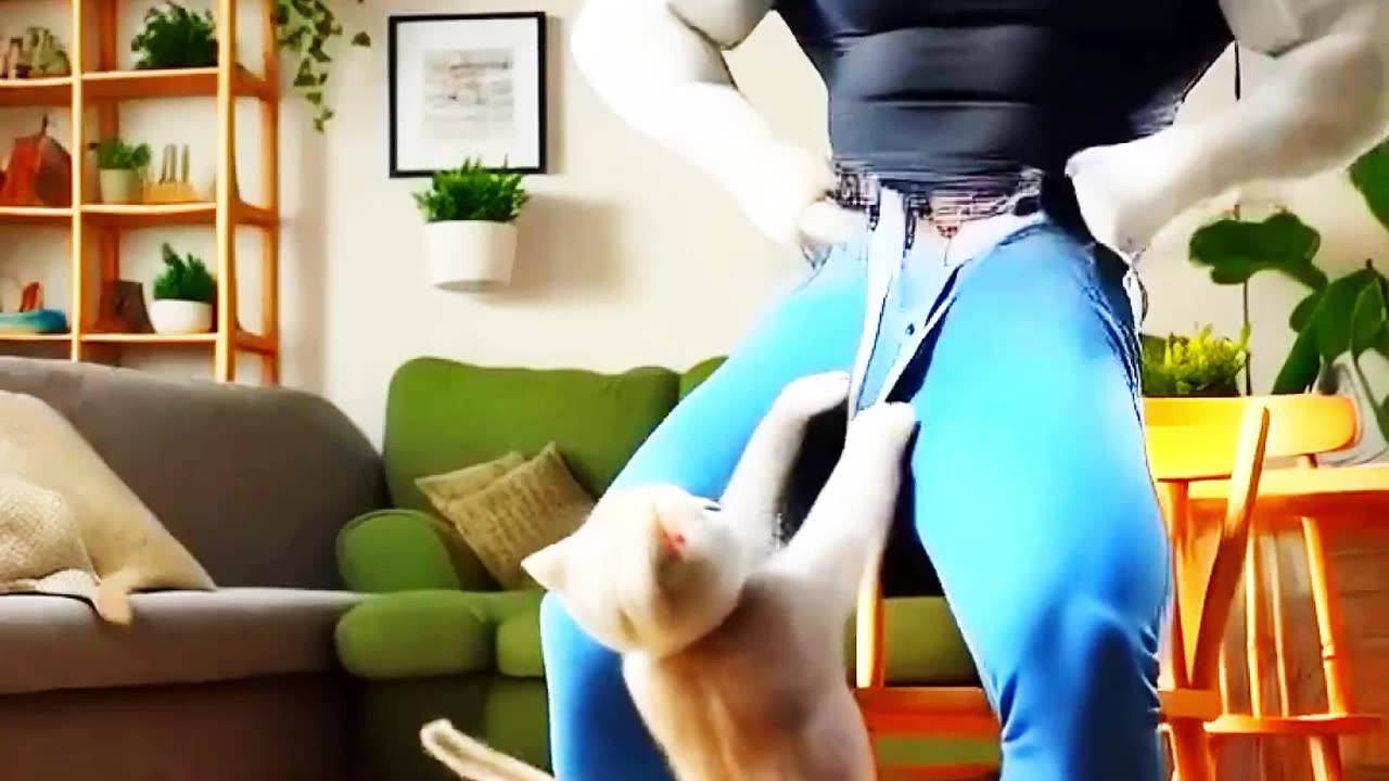 Funny video