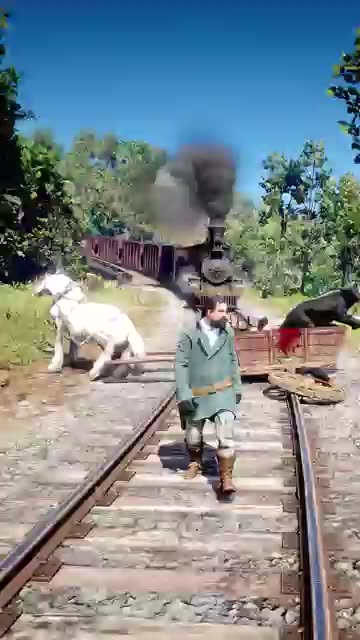 *Title:* "Massive Snake Encounter - Green Screen Effect!"