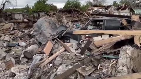 🐾❤️ Ukraine Russia War | 'Hollander' Rescues Pets from Pokrovsk Shelling | RCF