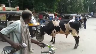 Funny Auto Rickshaw