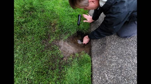 Rudy's Landscaping