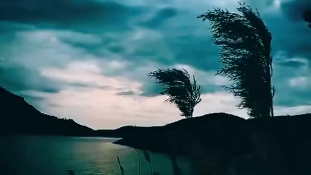 Dark vibes Nature