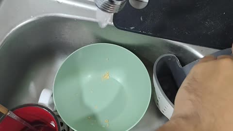 Kitten Climbs Owner In Kitchen