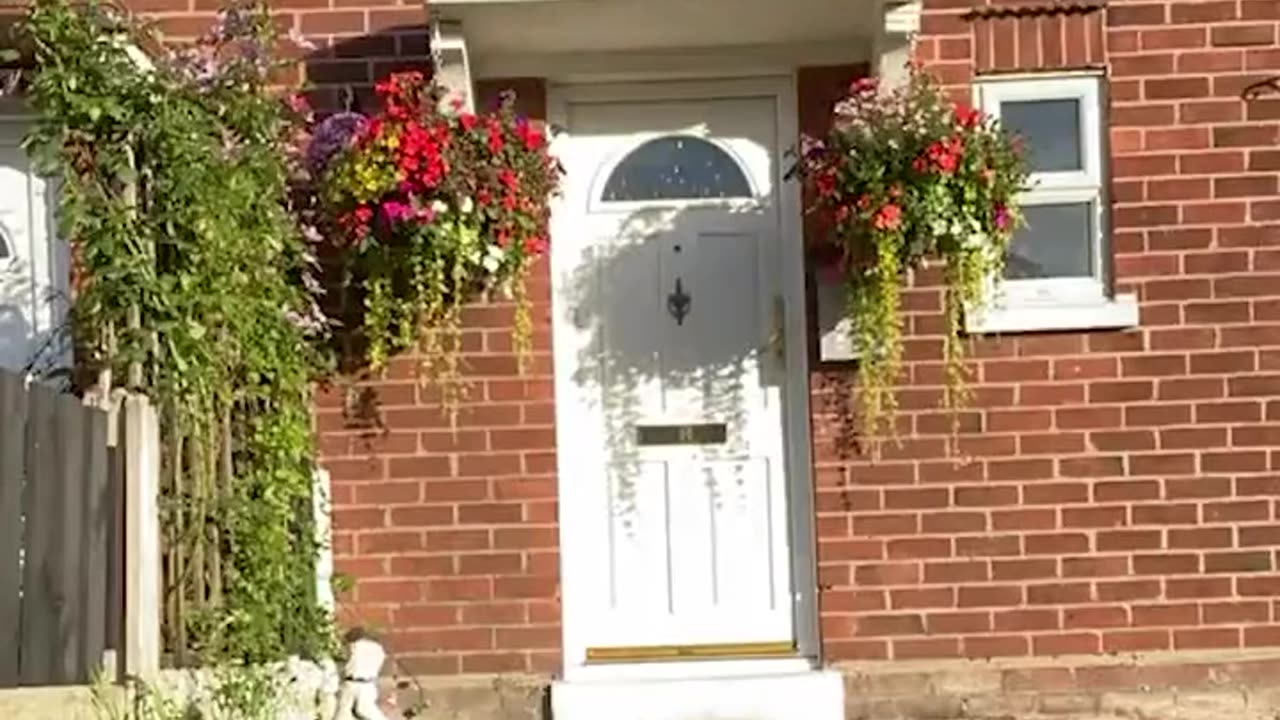 Funny video
