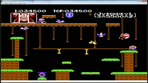Donkey Kong Junior (NES)